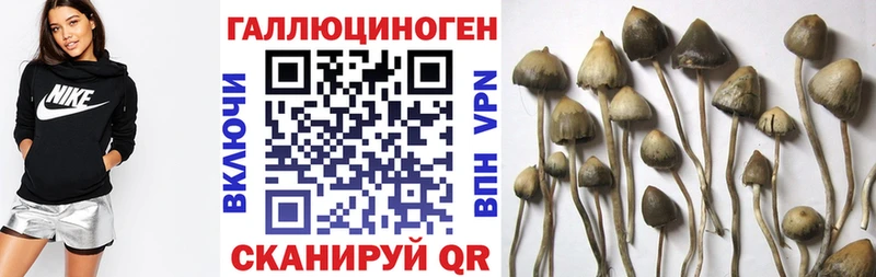Галлюциногенные грибы GOLDEN TEACHER  Новоржев 